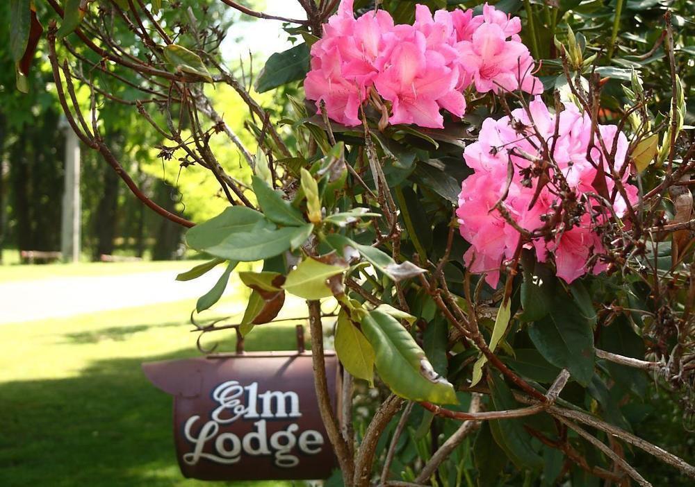 Elm Lodge Bright Eksteriør billede